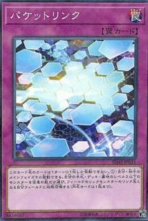 Packet Link SD33-JP031
