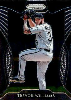 Trevor Williams