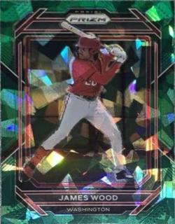 James Wood