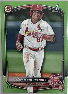 Sammy Hernandez