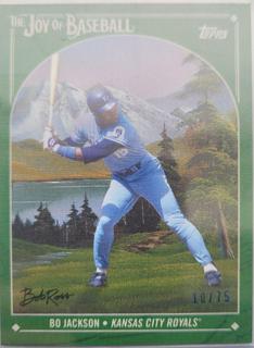 Bo Jackson