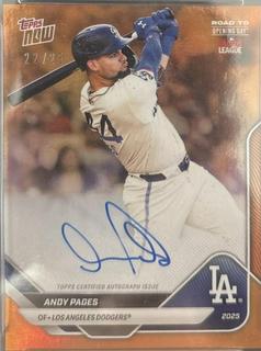 Andy Pages