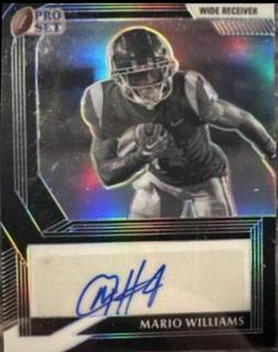 Mario Williams