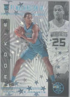 PJ Washington Jr.