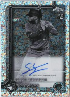 Steward Berroa