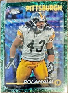 Troy Polamalu