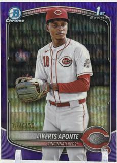 Liberts Aponte