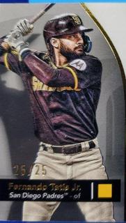 Fernando Tatis Jr.