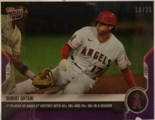 Shohei Ohtani