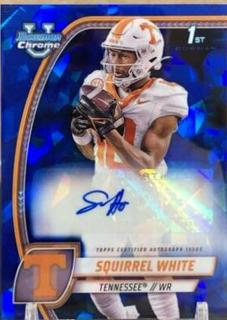 Squirrel White