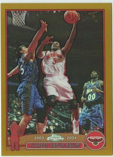 Shareef Abdur-Rahim