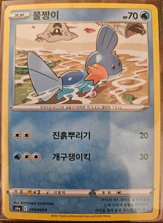 Mudkip