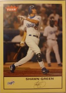 Shawn Green