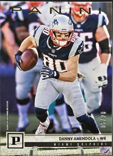 Danny Amendola