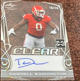 Darnell Washington