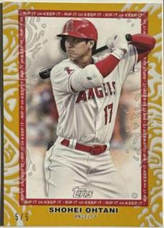 Shohei Ohtani