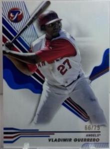 Vladimir Guerrero
