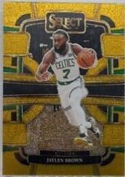 Jaylen Brown