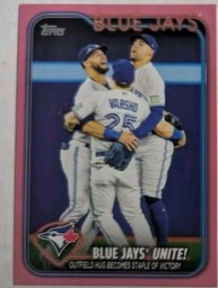 Blue Jays Unite