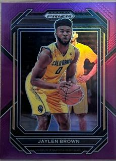 Jaylen Brown