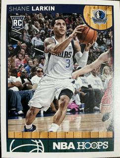 Shane Larkin