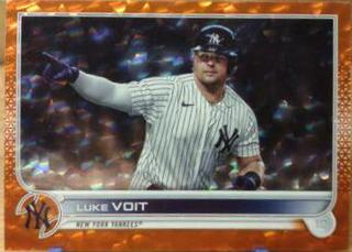 Luke Voit