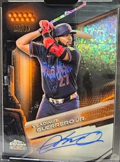 Vladimir Guerrero Jr.