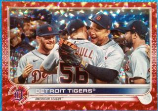 Detroit Tigers