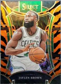 Jaylen Brown