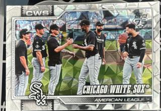 Team Card