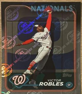 Victor Robles