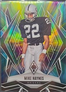 Mike Haynes