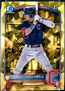 Jose Pirela