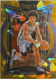 Jaylen Wells