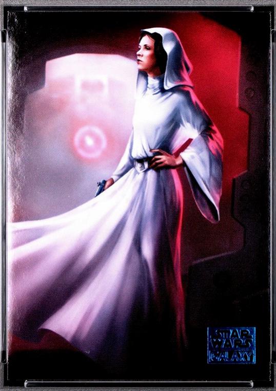 The Princess prepared [Blue] #59