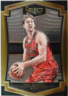 Pau Gasol