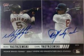 Carl Yastrzemski, Mike Yastrzemski