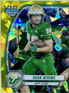 Sean Atkins
