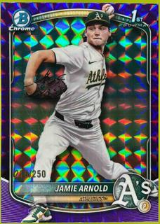 Jamie Arnold
