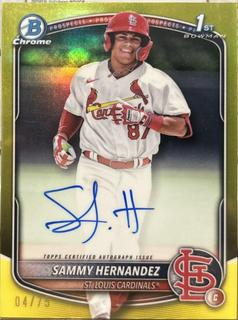 Sammy Hernandez