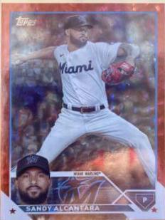 Sandy Alcantara