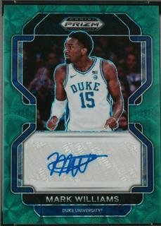 Mark Williams