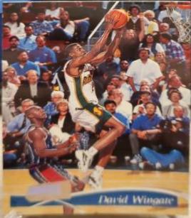 David Wingate #172 Basketball Cards 1997 Stadium Club