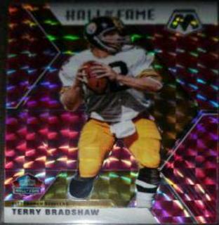 Terry Bradshaw