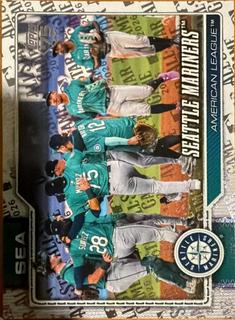 Team Card