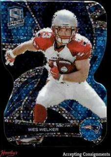 Wes Welker