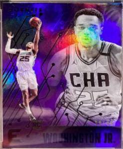 PJ Washington Jr.