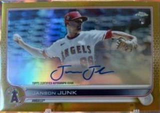 Janson Junk