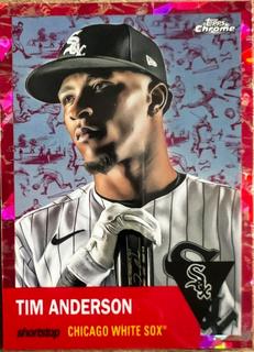 Tim Anderson