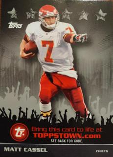 Matt Cassel